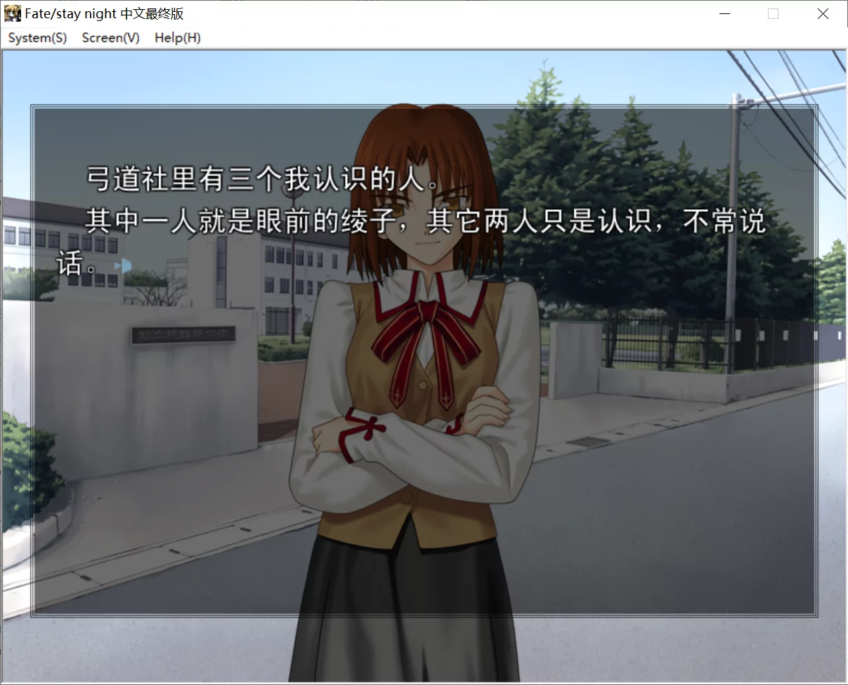 【TYPE-MOON】Fate/stay night 中文最终版 / フェイト／ステイナイト【简体中文】 - Windows资源 - 喵源领域
