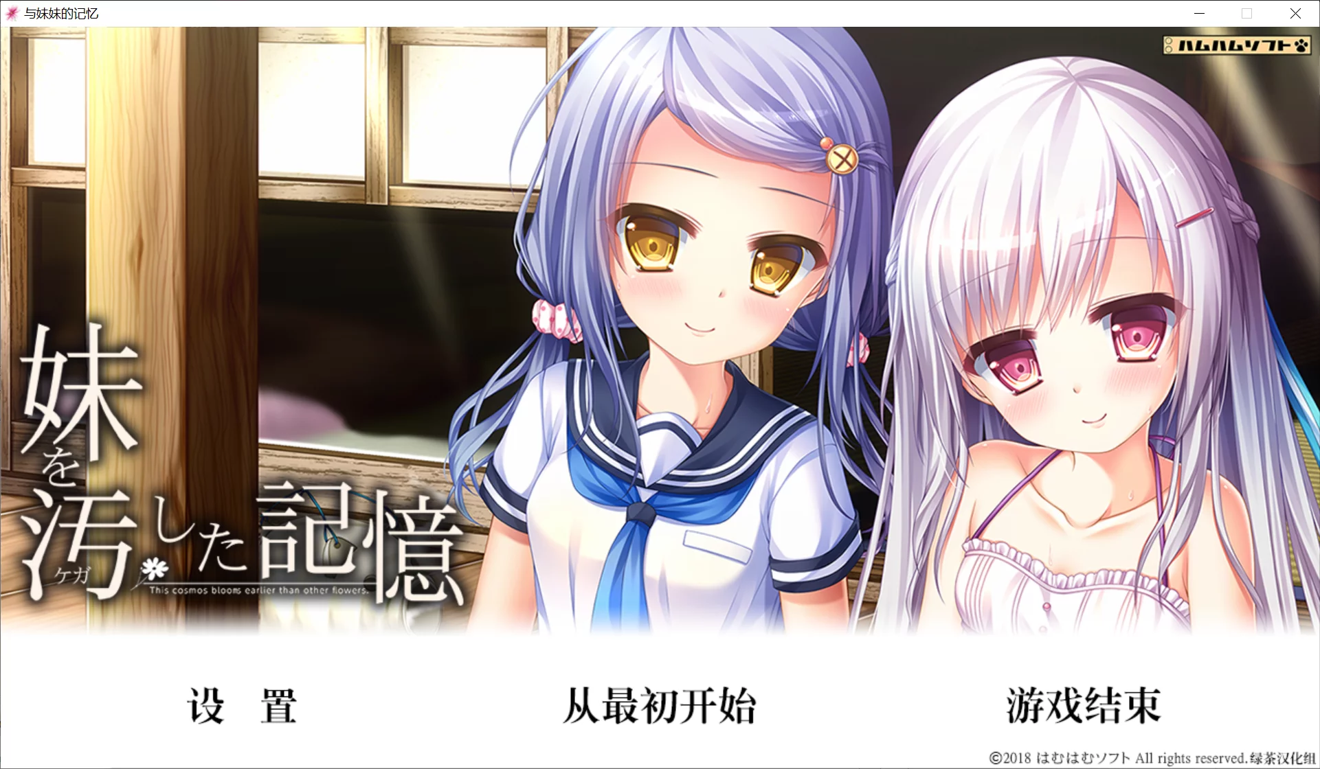 【はむはむソフト】与妹妹的记忆 / 玷污妹妹的记忆 / 妹を汚した記憶【绿茶汉化组】-喵源领域